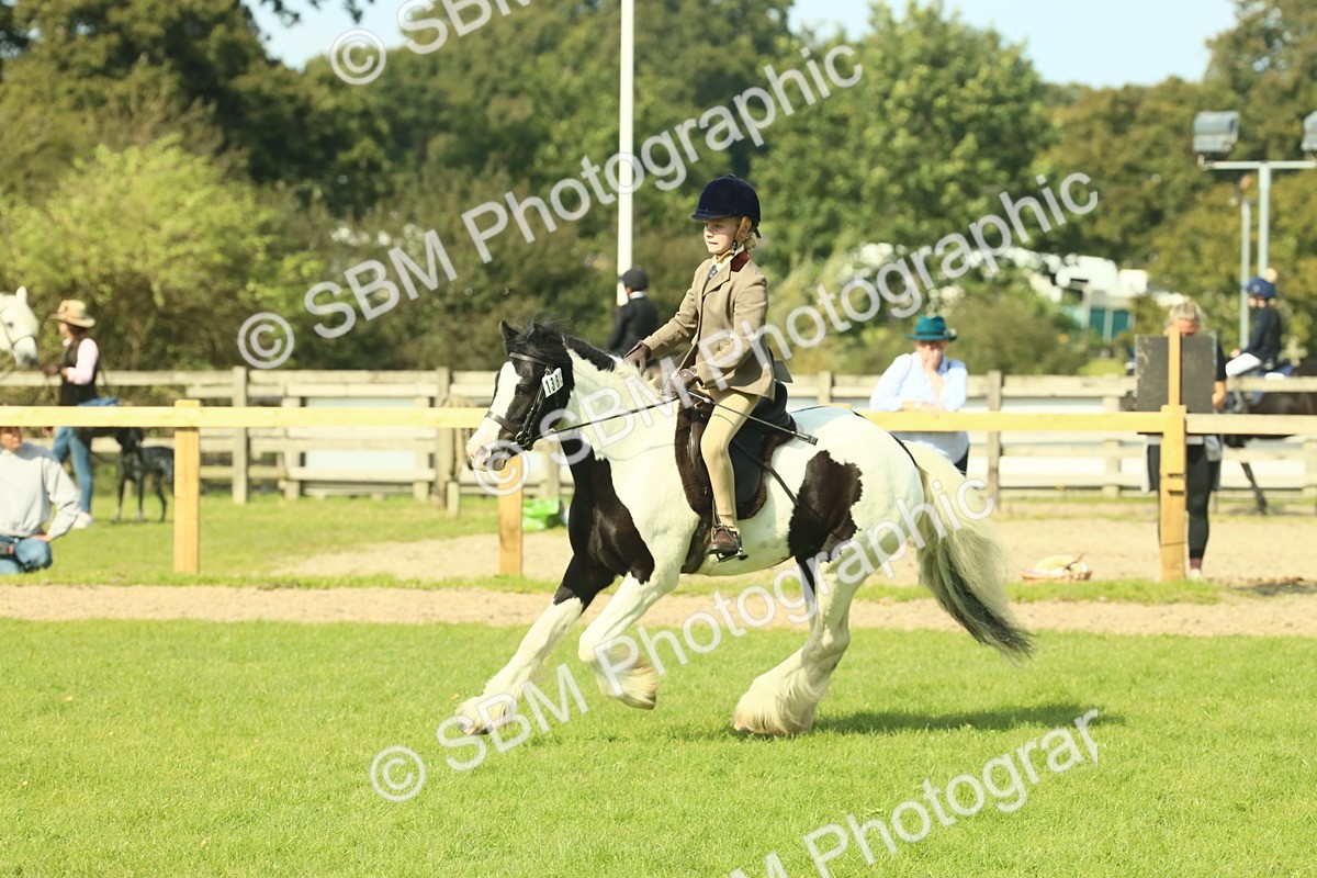 SBM_68904 - S58 - Mini Show Cob Ridden
