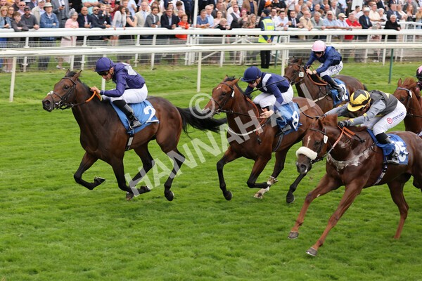 yr18082021r7-18 - Race 7 5.20pm Sky Bet Nursery Handicap