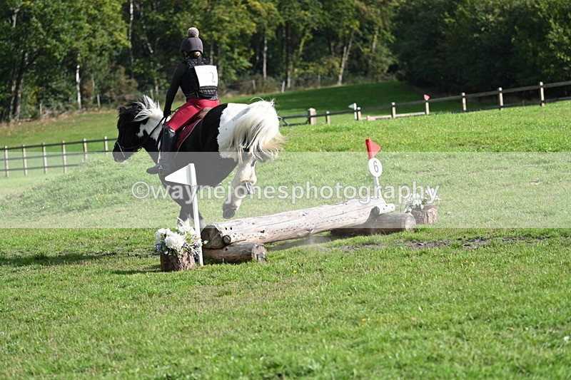 WJ7_3732 - 40cm Time 10:26 to 10:42