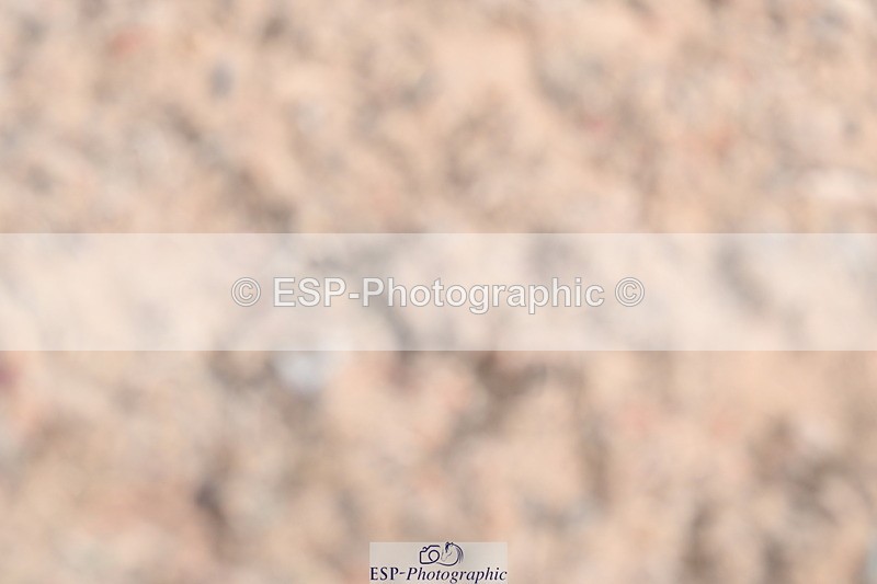 240623A-095509-16374 - Cls 45 BD Prelim 19