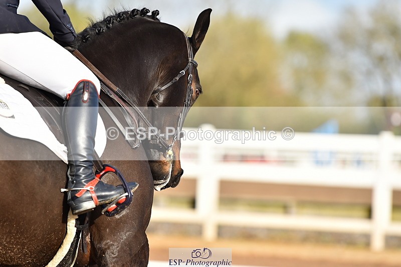 231104A-101808-01322 - Cls 2 Prelim 19