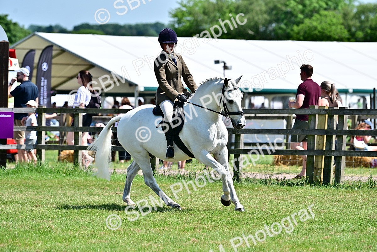SBM_17476 - Class 95-97 - BSPS LHS Performance Ponies
