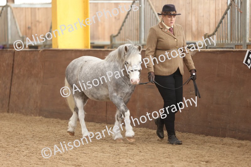 20251109-0583 - Class 22 - Geldings 4 Years and over