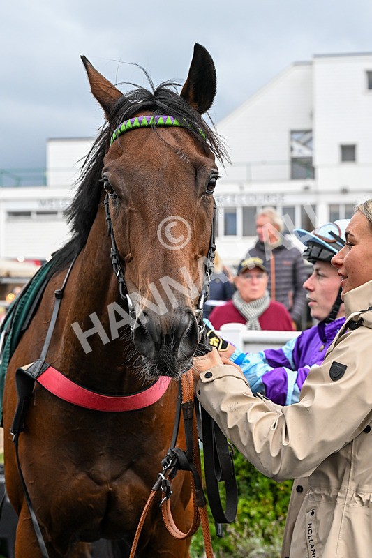 011025-Race 5-Blue Jay Way-0540 - Race 5