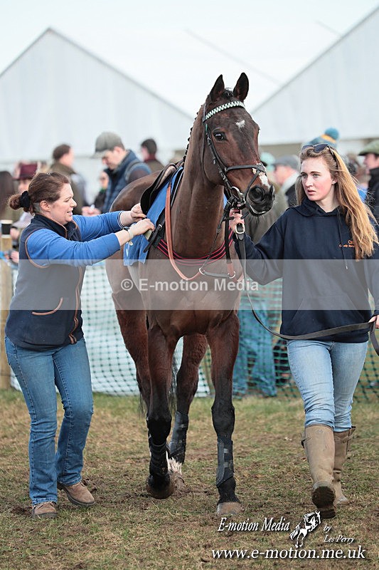 PtP 010325 539 - Beaufort Races Didmarton 01/03/25