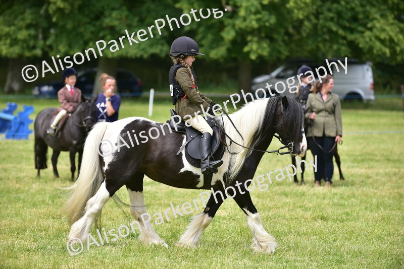 20260614-3665 - Class 15 - Prettiest Mare