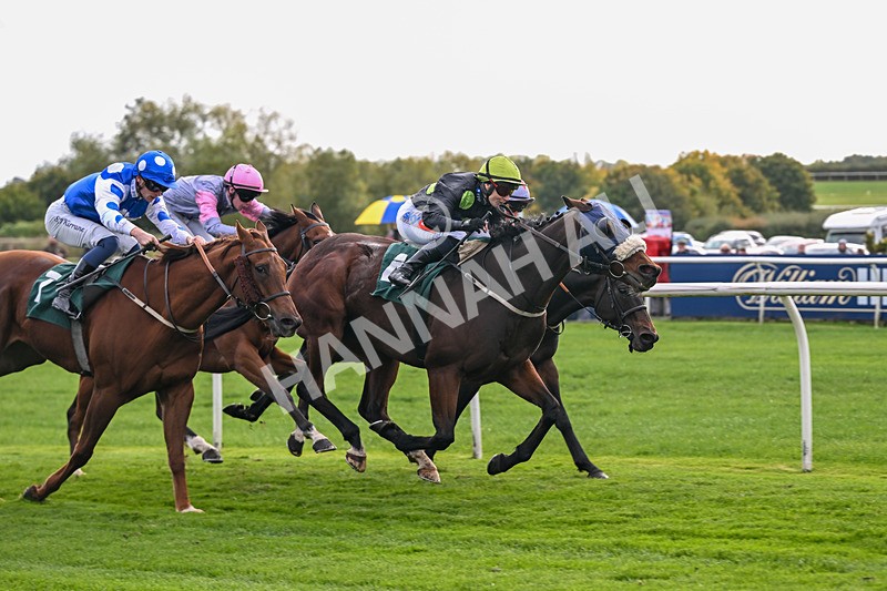 171026-Race 4-Woodstock-5734 - Race 4 2.45pm William Hill Best Odds Guaranteed Veterans' Handicap