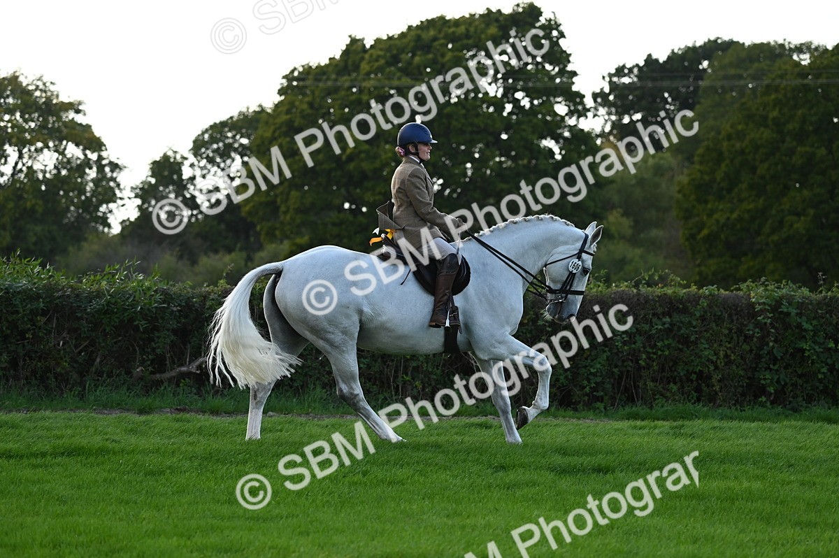 SBM_26517 - S6 - Novice & newcomer Ridden horse