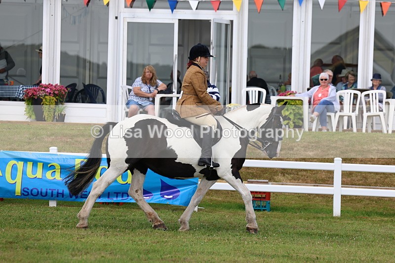 3E7A9901 - Class 5: Rising Star Lightweight/Heavyweight Cobs