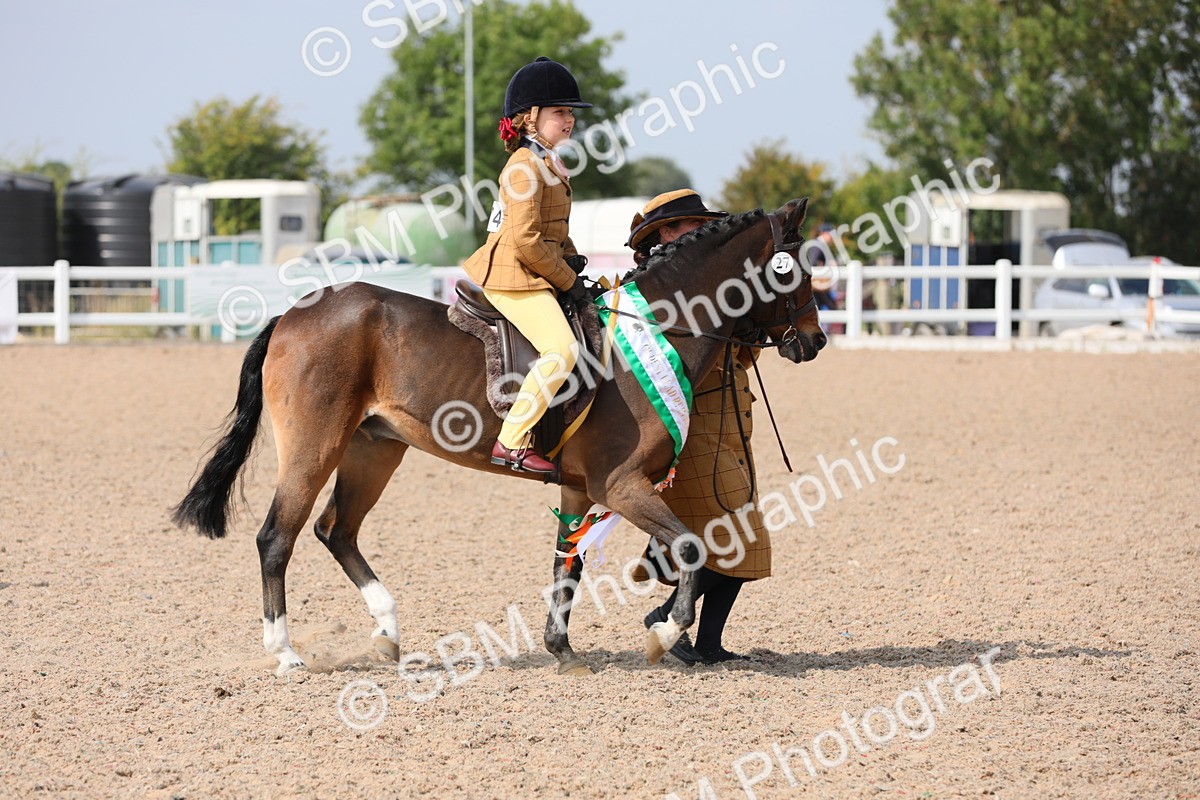 SBM_14133 - Class 309 Lead Rein Pony