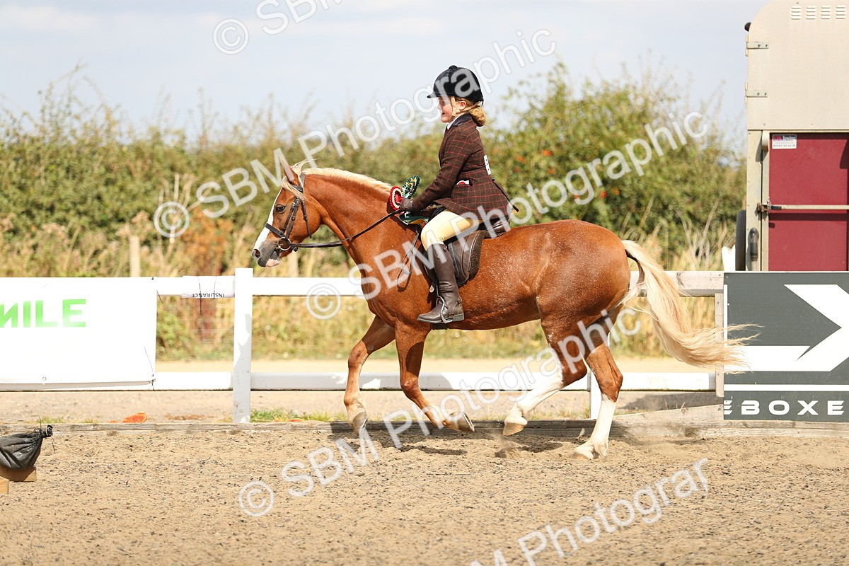 SBM_04815 - Class 46b Style & Performance 50cm (20+)