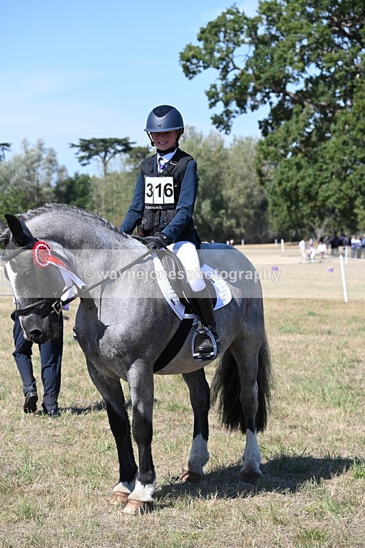 WJ6_8735 - Class 37b Best Loan Pony In-hand
