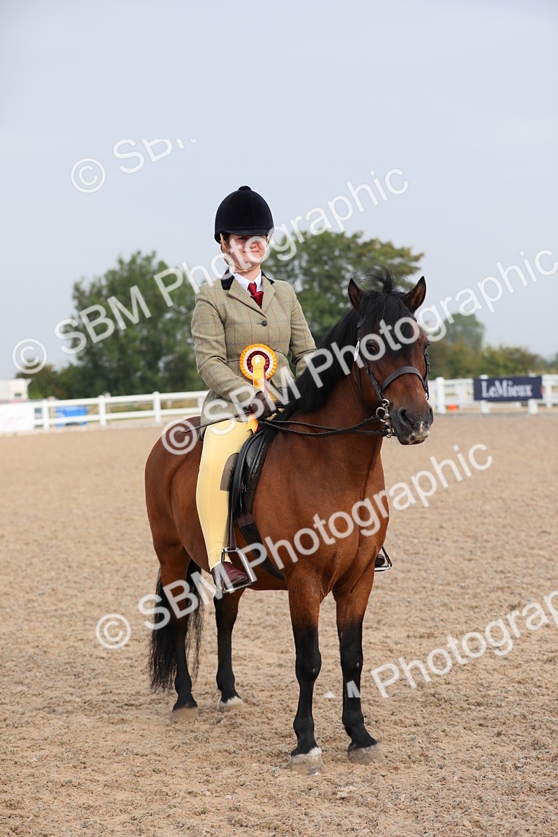 SBM_09690 - Class 301 Ridden M&M -Small Breeds
