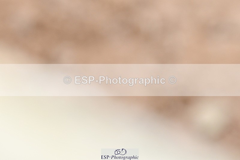 240107A-135439-01969 - UnAff Novice 28 and 30