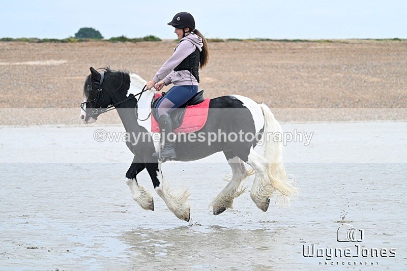 WJ7_8825 - Hayling Island Beach Shoot 22-09-24