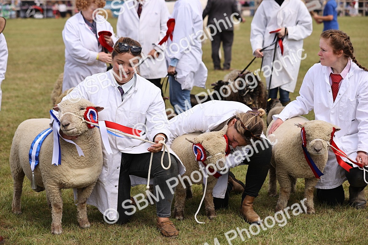 SBM_16919 - Grand Parade