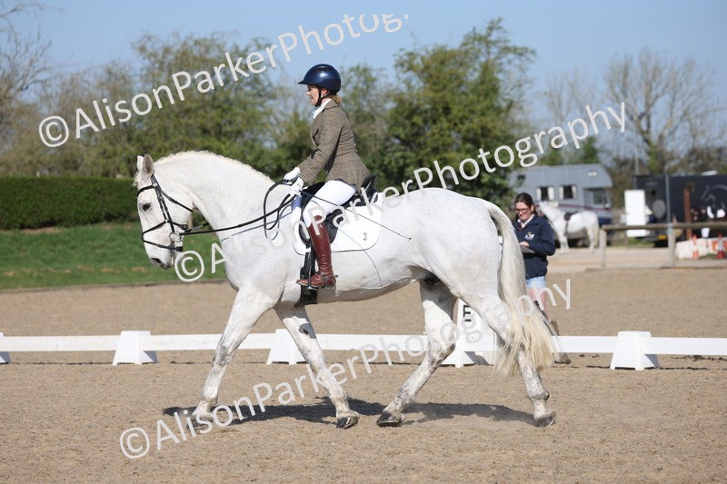 20250405-0223 - Class 11 - My Quest Novice 3