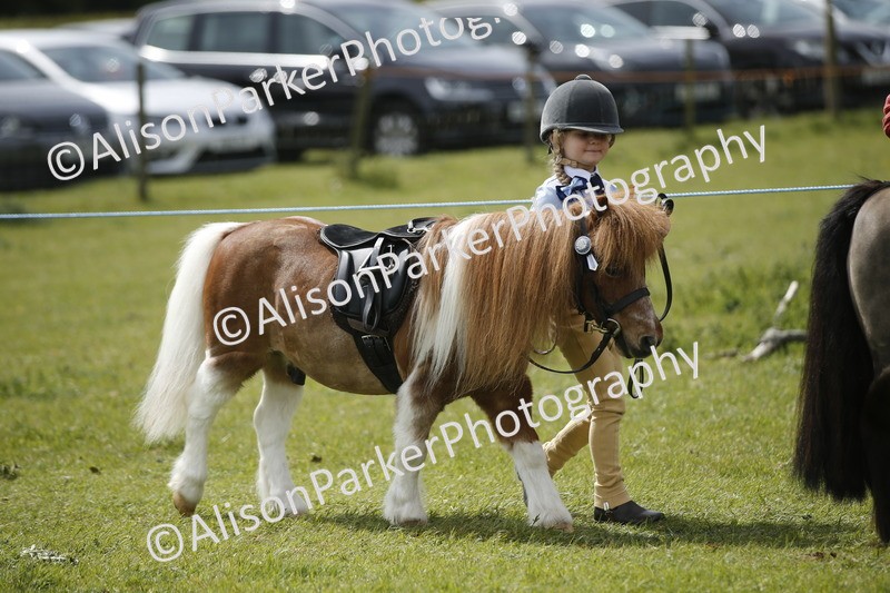 20260426-3448 - Class 11 - Best Mane and Tail