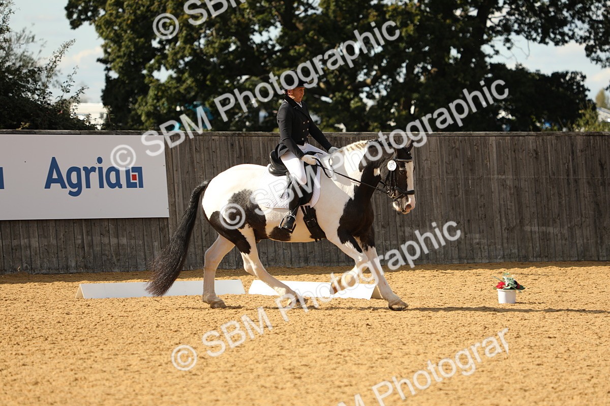 SBM_26696 - D17 - Grand Tour Championship - Novice 27