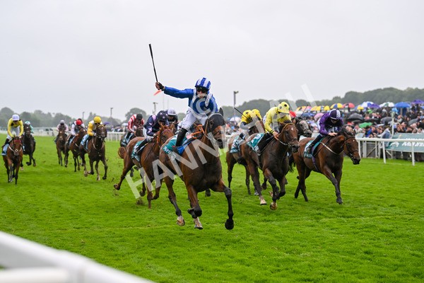 130724-Race 3-Enfjaar-7264 - Race 3 3.10pm John Smith's Cup Handicap