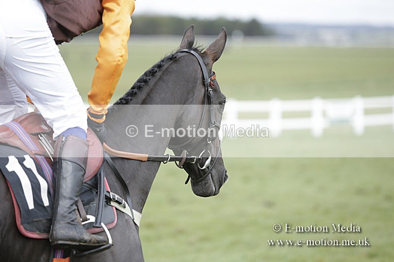 PtP 150320 0467 - New Forest Point-to-Point Larkhill 15/03/20