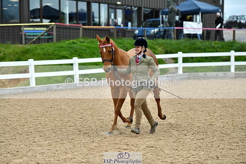 230416A-115154-04211 - Cls 47 In Hand Racehorse to Showhorse