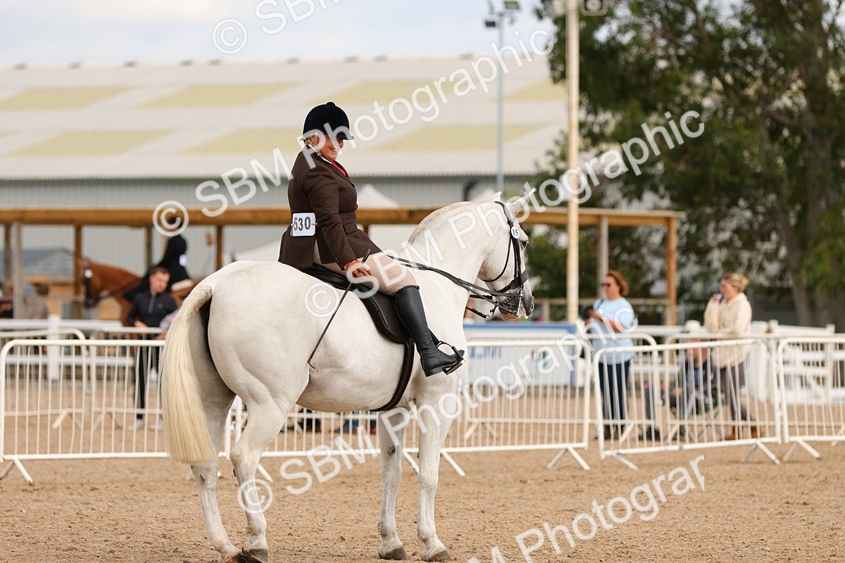 SBM_15562 - Class 214 - Ridden Show Cob