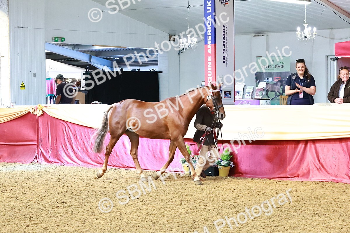 SBM_22455 - Class 902 - Supreme Final - IH Diamond