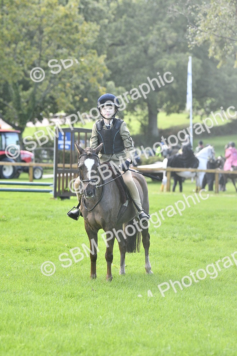 SBM_37202 - S31 - Novice & Newcomer Working Hunter Pony