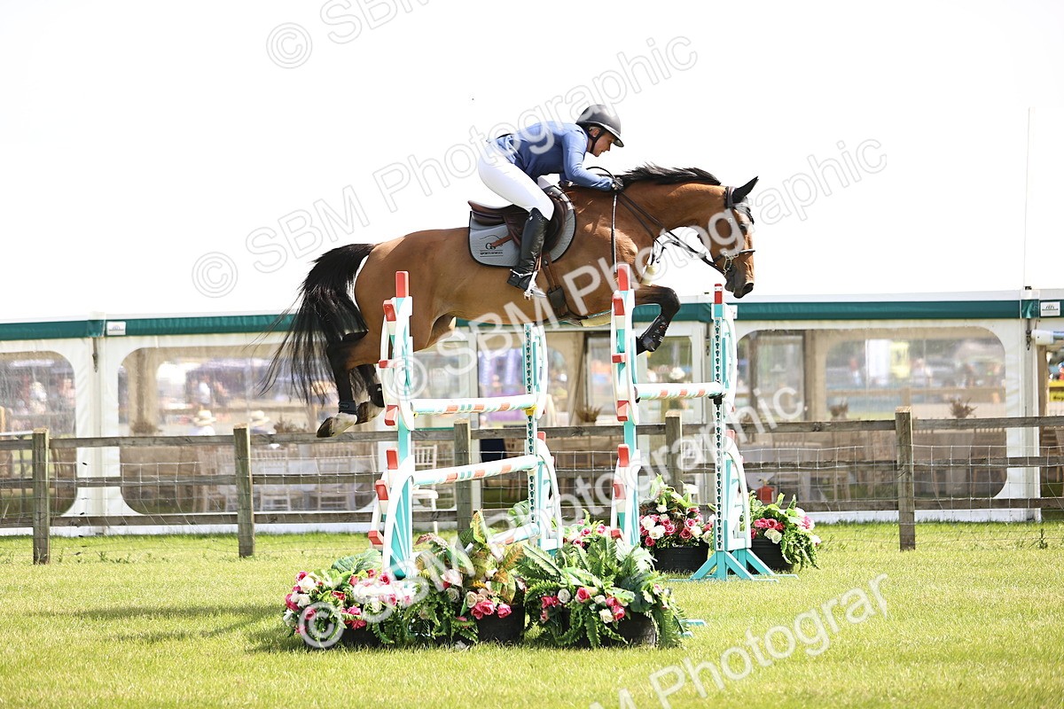 SBM_03050 - Class 201 - British Horse Feedds Speedi Beet HOYS Grade C