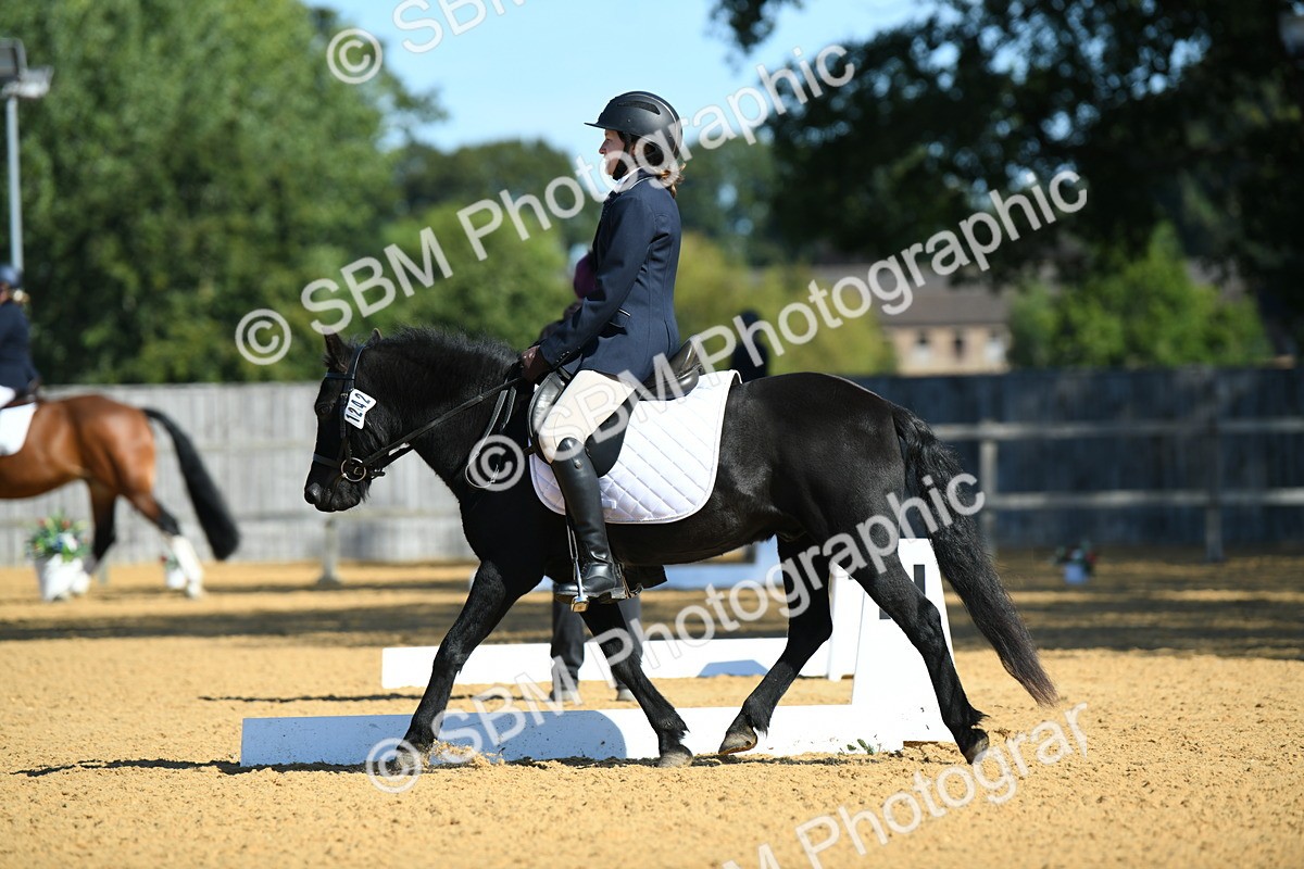 SBM_18174 - D4 - Small Tour Championship - Intro B