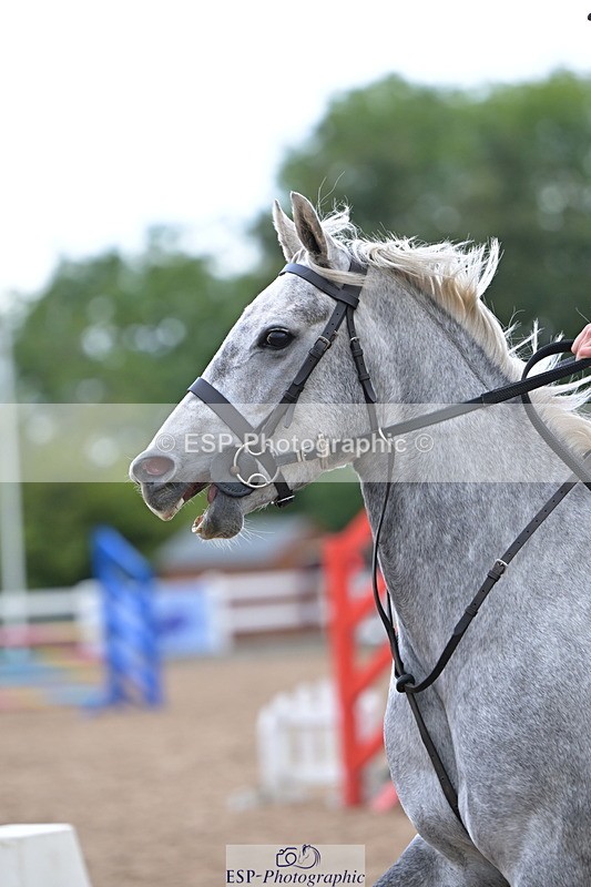 240925A-103146-00073 - Clear Round