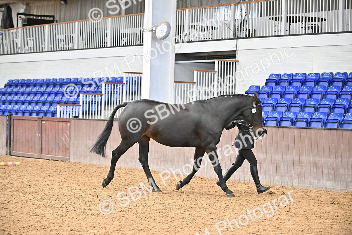 SBM_000682 - Class 11,12,13 - SSADL In Hand Seniors