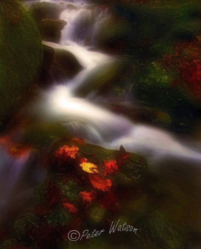 Autumn Leaf Fall 2 - Elemental