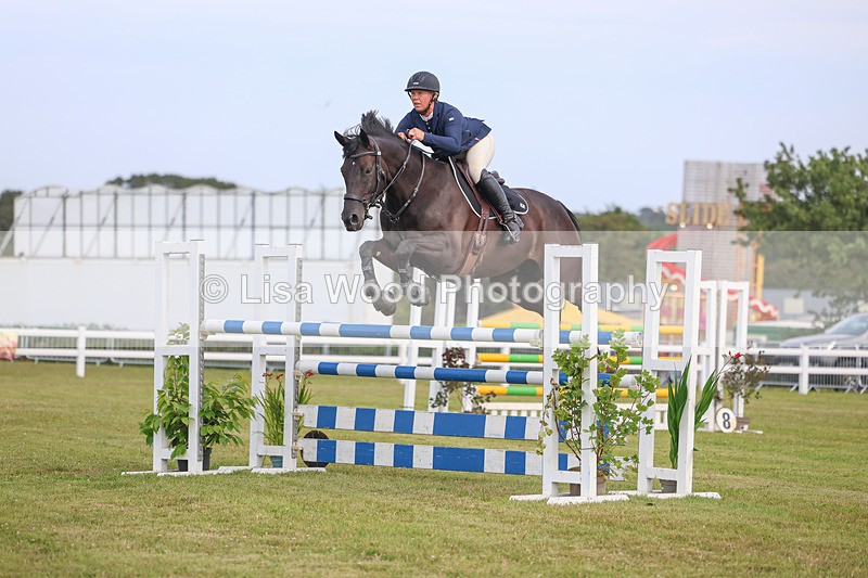3E7A0829 - Class C: Showjumping Senior Foxhunter