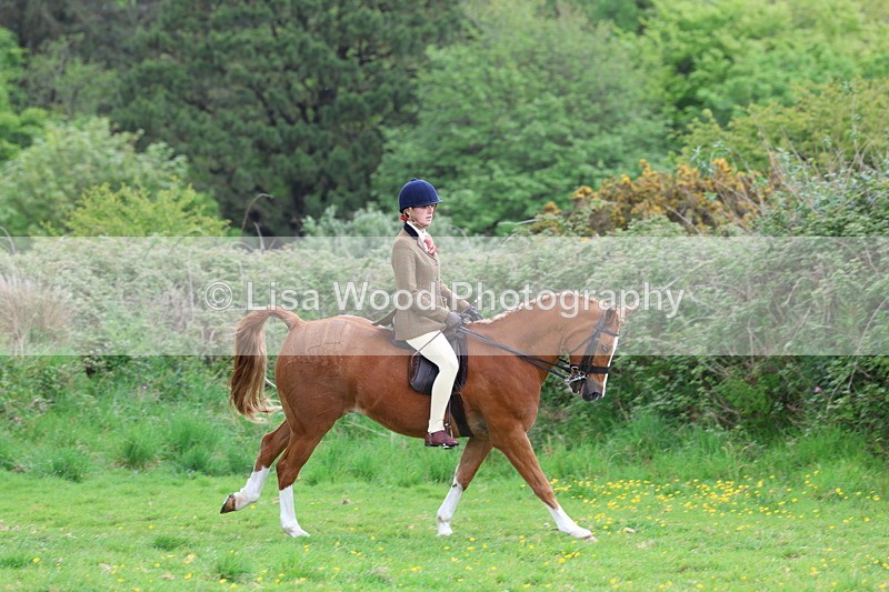 3E7A2083 - Class 11: Ridden Arab