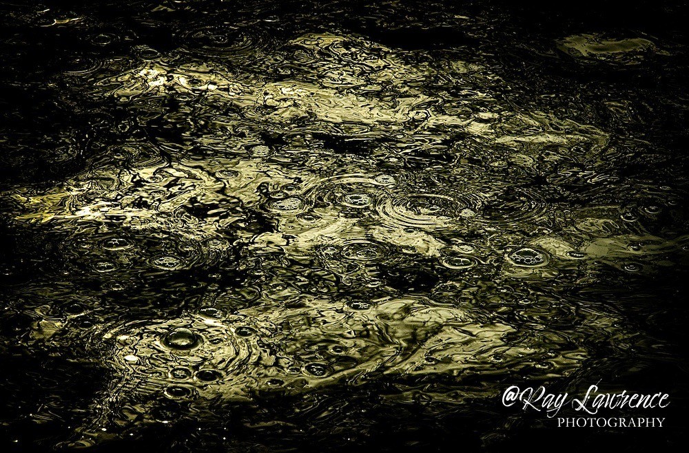 Dino Footprint_RLP0135 - Double Take