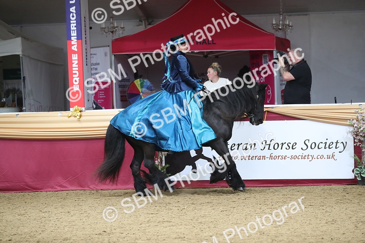 SBM_12139 - Class 107 Ridden Costume- Astride Adult (20+)