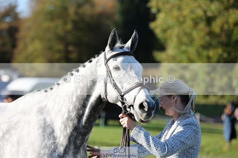 241027-092444-15273 - 306-Alice.Sandiford-THE.GREY.DANCER