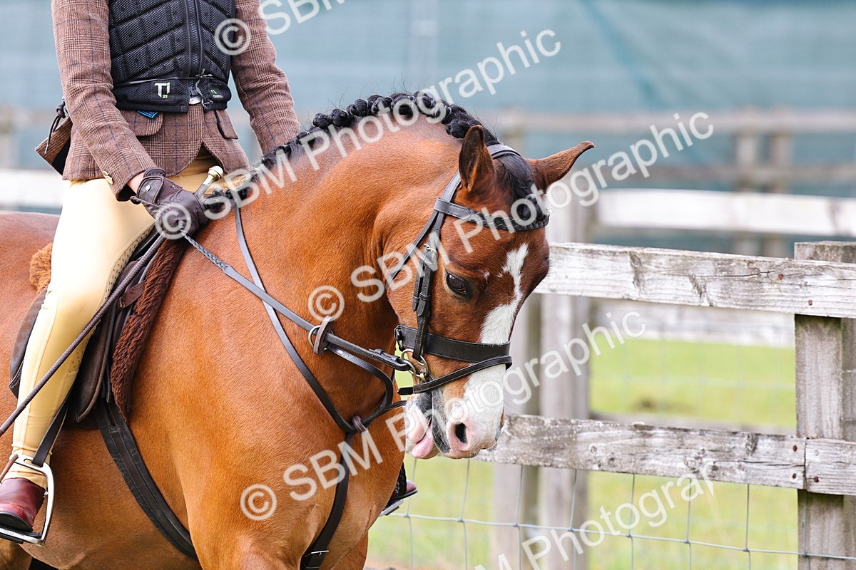 SBM_09623 - Class 44-45 - LIHS BSPS Open Nursery and Cradle Stakes