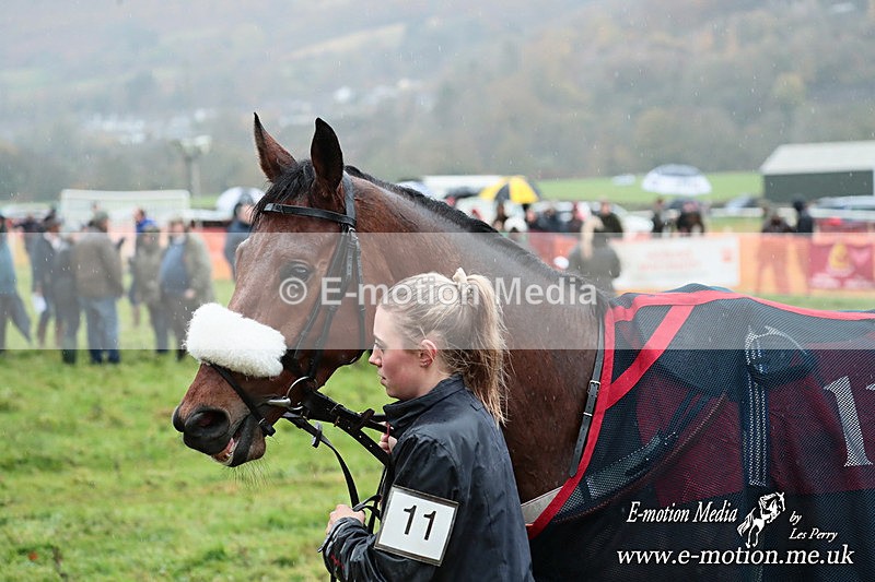 PtP 091125  0265 - Point-to-Point Wales Area Club Lower Machen, Gwent 09/11/25