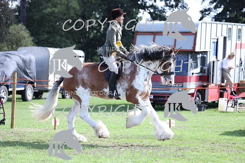 APP_3773 - Class 8 Ridden Class