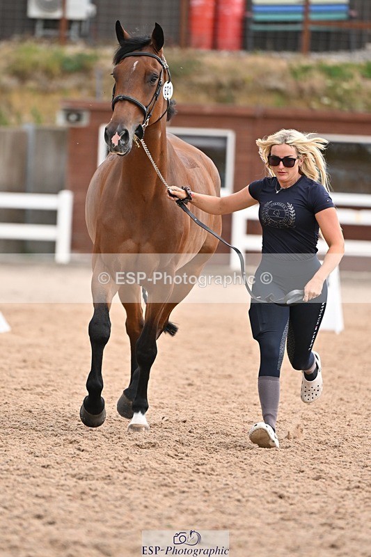 250716-145433-01496 - Trot Up 2.30 to 3.30