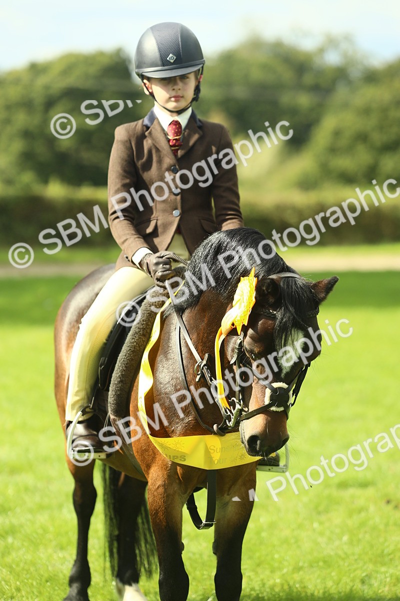 SBM_44978 - Working Hunter Pony Supreme Championship