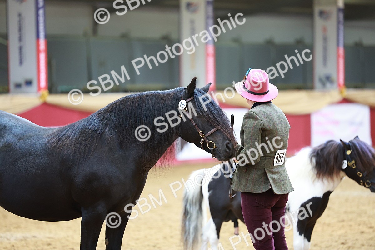 SBM_04269 - Class 9R - IH Pre-Vet