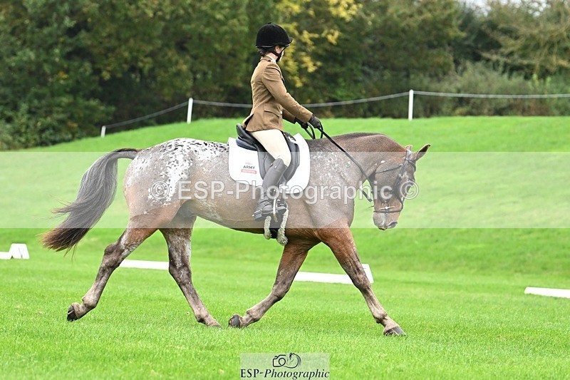 241024-105048-03070 - 501-Captain.Holly.Day-MUSTANG