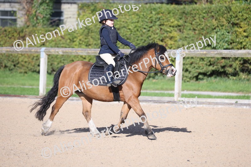 20251005-0053 - Class 1 - 40cm