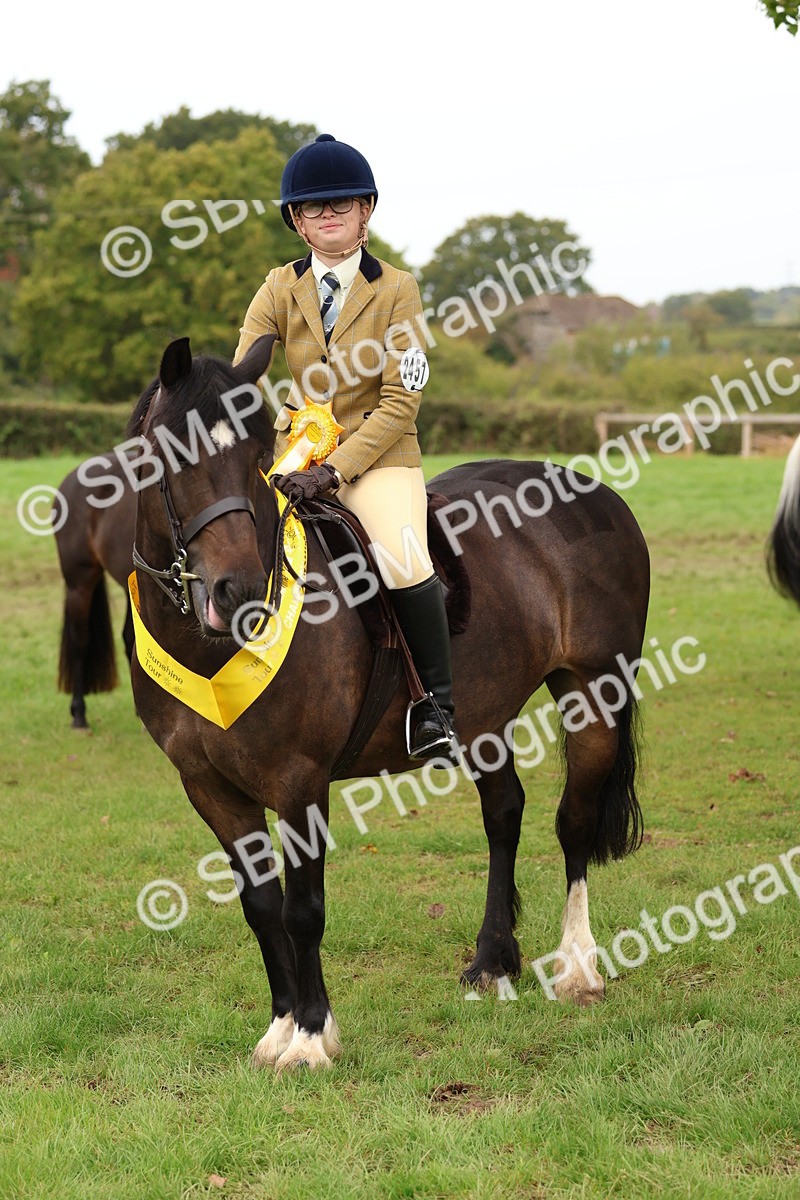 SBM_59997 - S36 - Rehabiliated Rescue Horse & Pony In Hand & Ridden