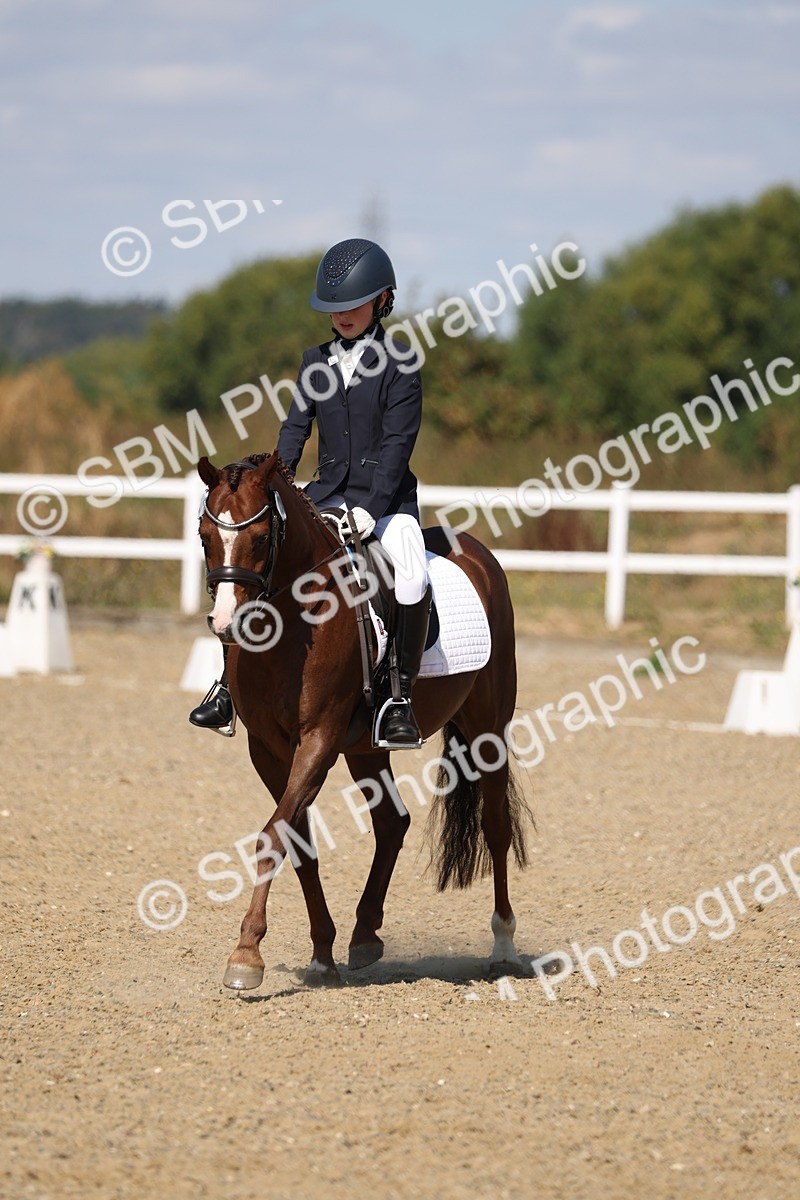 SBM_013716 - Class 1 - P5 Bronze 10.38.12.02