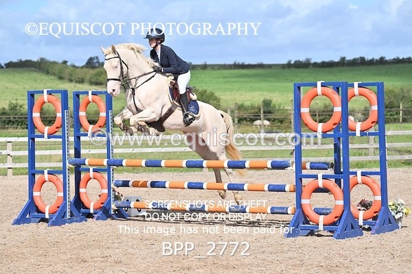 BPP_2772 - CLASS 14 SAT Senior British Novice/ 90cm Open